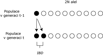 IBD