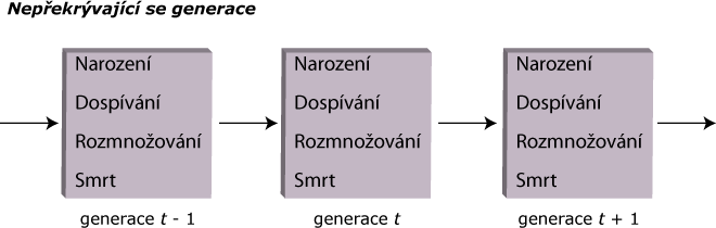 nepřekrývající se generace