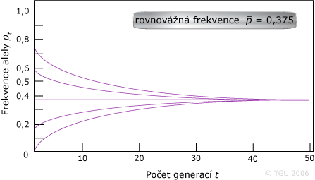 p = 0,375