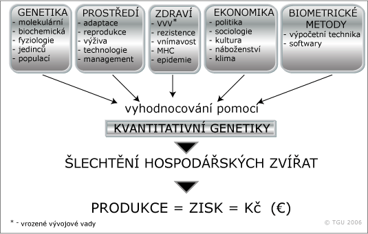 šlechtění