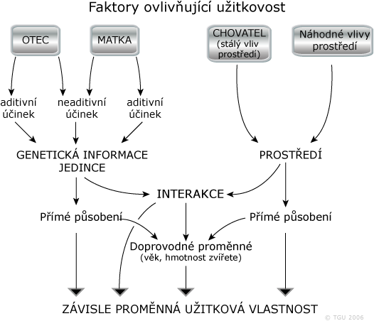 Faktory ovlivňující užitkovost